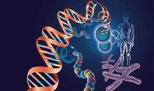 高三小说：DNA_750字