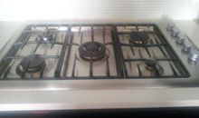 高一状物作文：“美妞”妮妮_900字