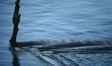 从希望中得到欢乐，在苦难中保持坚韧。_800字