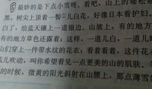 一张特别的照片_300字