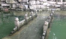 柳州赵家井_700字