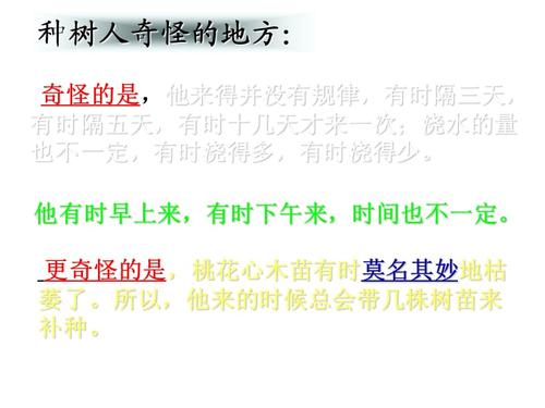 阅读“桃花心木”_600字