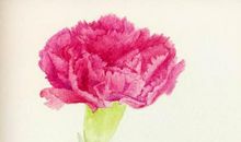 祝妈妈节日快乐_250字