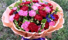 鲜花赠恩师_400字