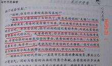 关于校园的作文：美丽的校园_750字