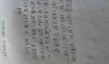 暑假里给老师的一封信_600字