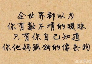 了解_500字