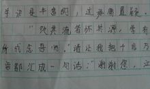 给语文老师威威的一封信_450字