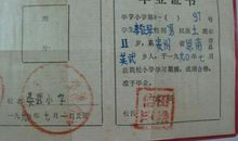 我最好的老师_1200字