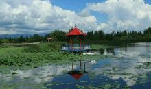 日本9级强震 万人小城基本消失_800字