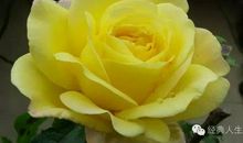 闲暇时光有什么用