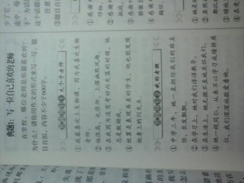 老师赞美_500字