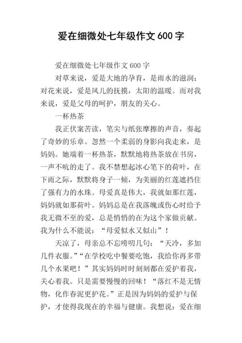 爱是精致的_1000字