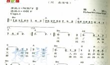 寂寞在唱歌_300字