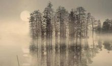 生活的淡泊_550字