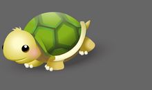 可爱的小乌龟_800字