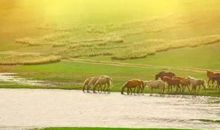 河流为什么不走直路