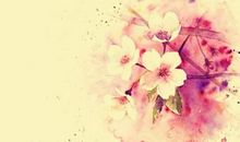 一支无情的蜡烛_550字