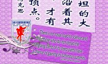 和平名言：放飞和平名言_700字