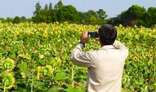 让我们扬起分享的风帆_800字