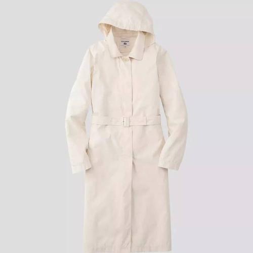 Spring Fly_650字