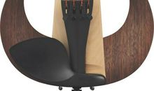 My Opinion on Cheating in Examinations_550字