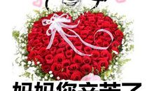 妈妈，祝您节日快乐_800字