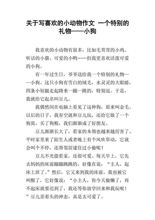 特殊礼物_700字