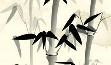 沉稳与灵动_1000字