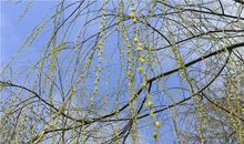 [九月遥寄]寄给一年后的自己_900字