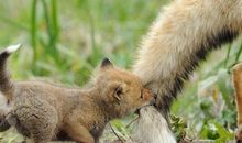 我有一所房子，父爱作顶，母爱作墙