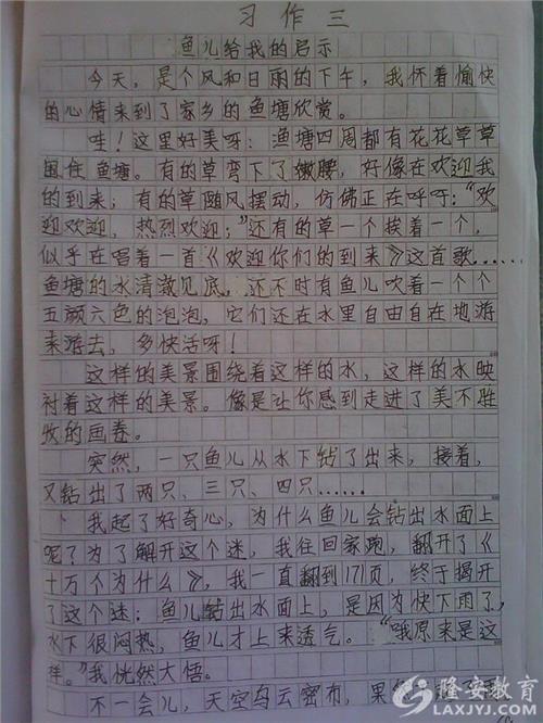 一排老年人在墙上_500字