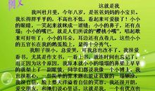 我自己的选择_300字