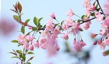 时间的祭奠_400字