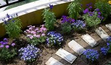 近水阳台之月_800字