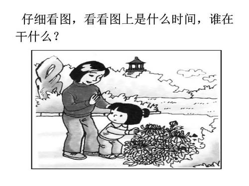 一年级组成看图片：不要抽象花_200字
