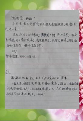 给母亲的信封_1200字