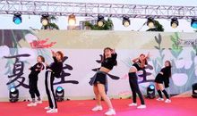 夏夜的歌声_550字