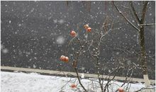 冬，似寒非寒_750字