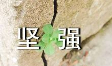 关于坚强的作文：我学会了坚强_600字