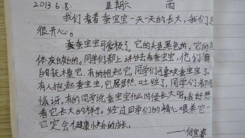 丝绸丝绸日记_400字