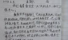 蚕宝宝日记_400字