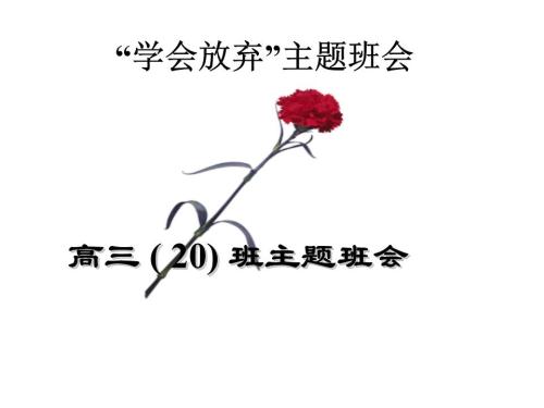 学会放弃_200字
