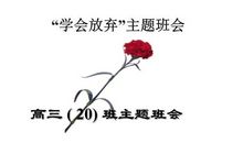 学会放弃_200字