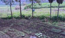 触动心灵的力量_900字