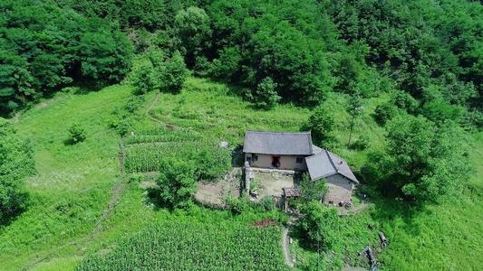 我想从山上飞出_750字