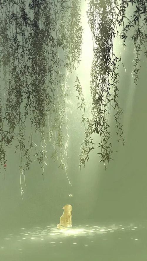 阳光在厘米之外_800字