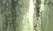 一厘米之外的阳光_800字