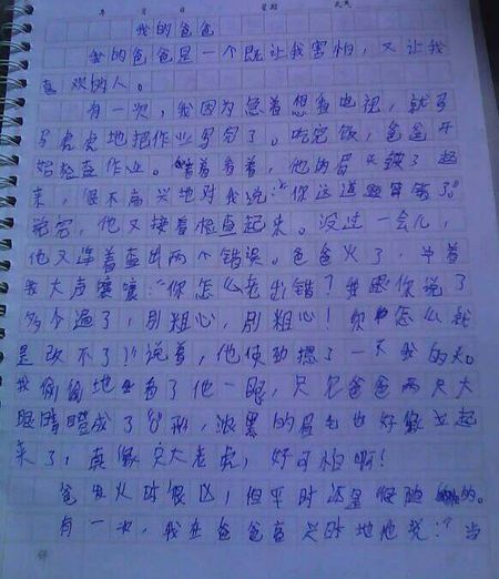 给老师的一封信_500字