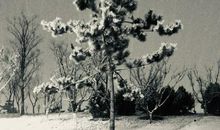 离别时别流泪_50字